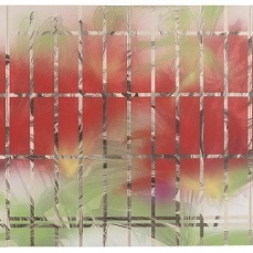 書院格子の向こうに/ Beyond shoin latticed window | 
	軍道紙　牛皮和膠　岩絵の具　墨　胡粉 80 x 160 cm 2014 Gundoukami(handmade paper mulberry), nikawa, mineral pigments, sumi, gofun
